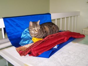 cat on fabric photo