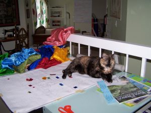 Cat with fabrics & drawing